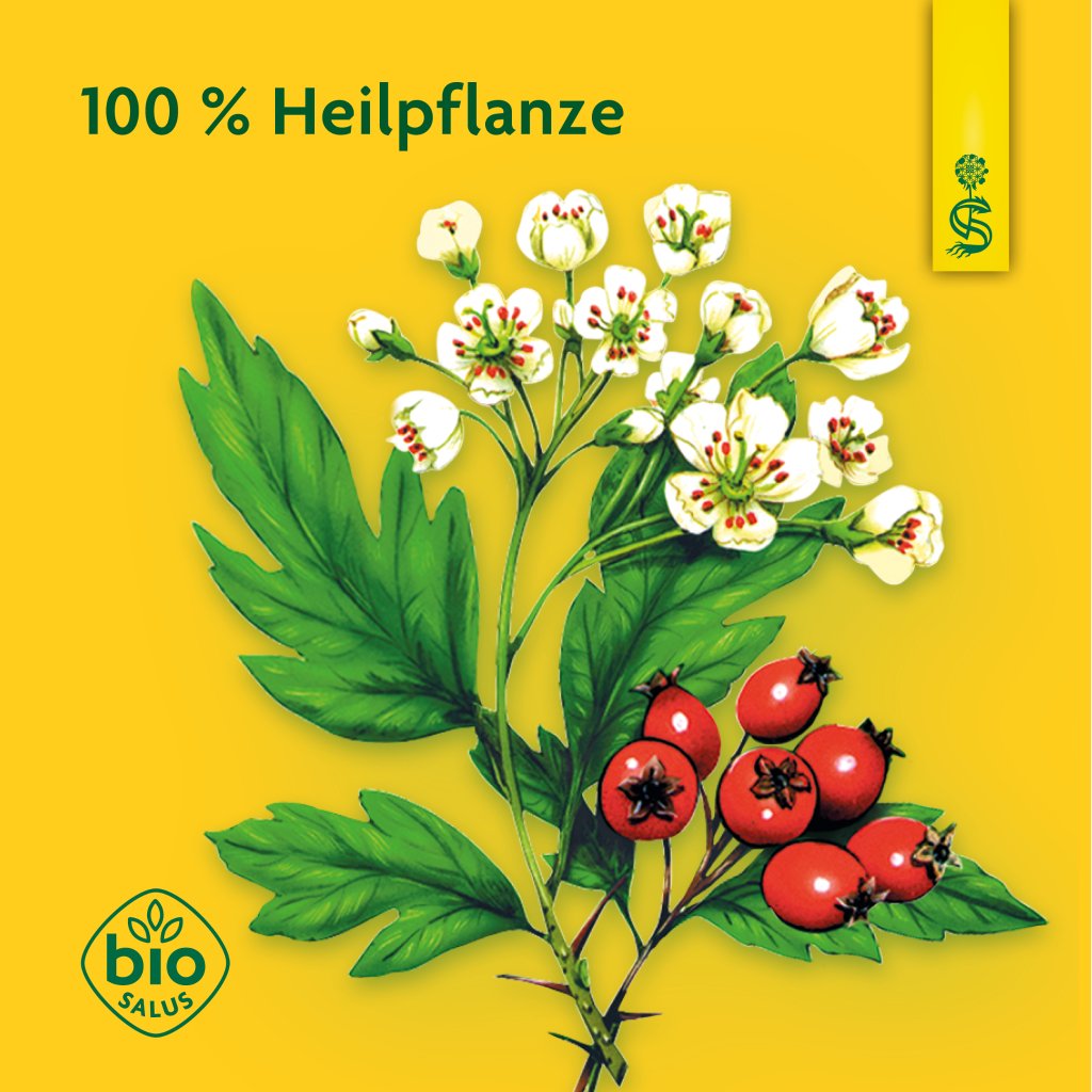 Schoenenberger naturreiner Heilpflanzensaft Weißdorn 3er Pack