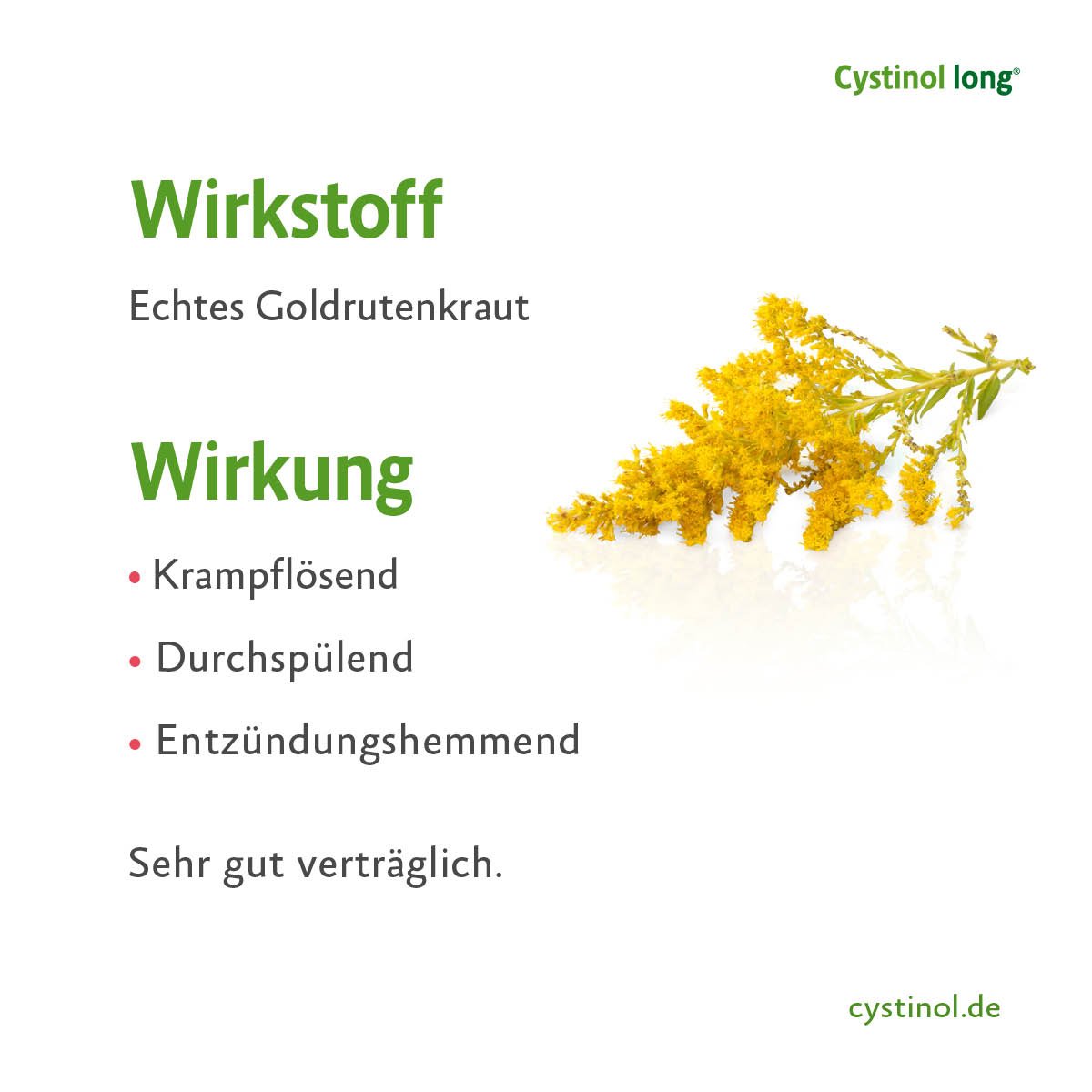 Cystinol long