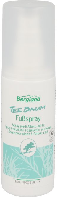 TEEBAUM FUSSSPRAY