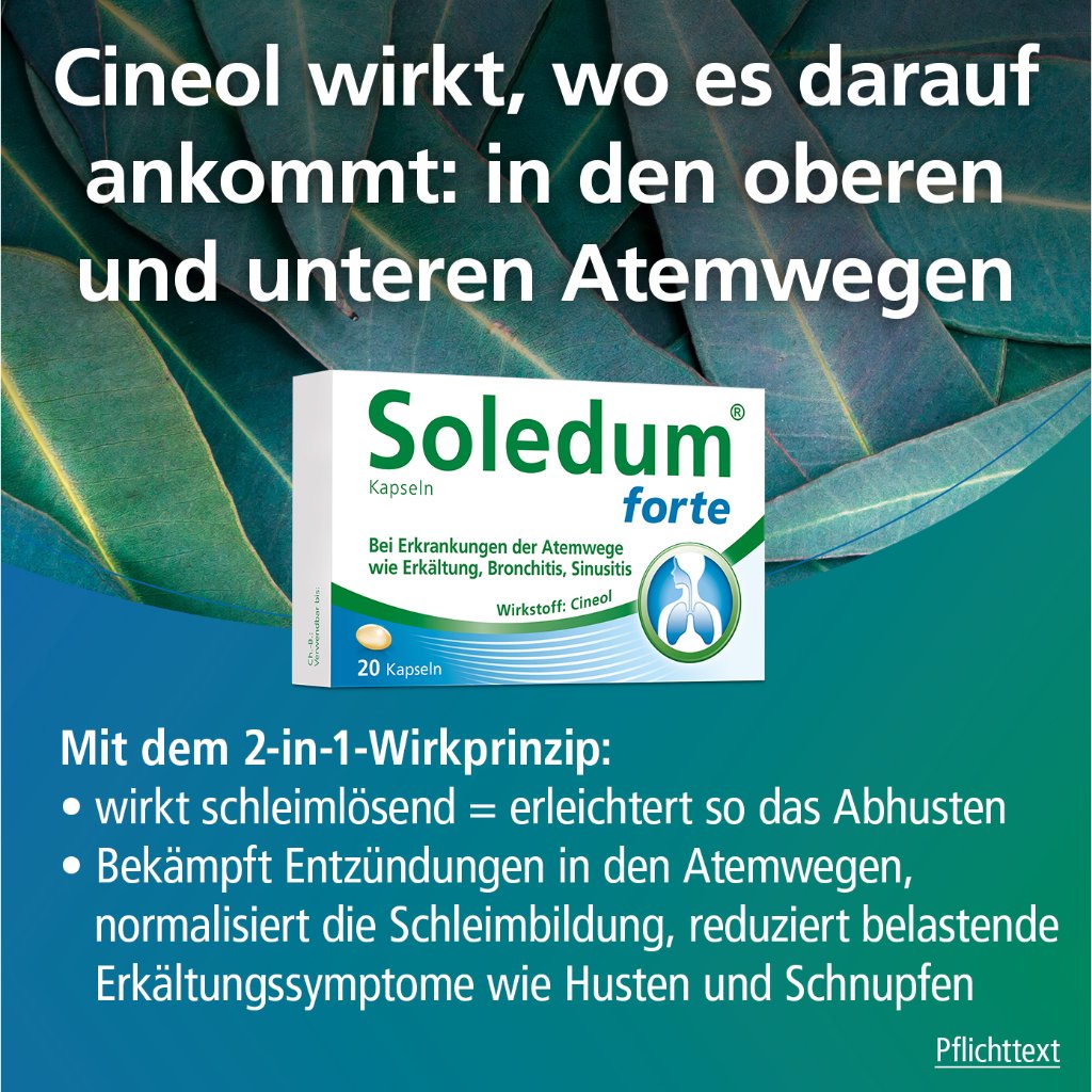 Soledum Kapseln forte 100 St