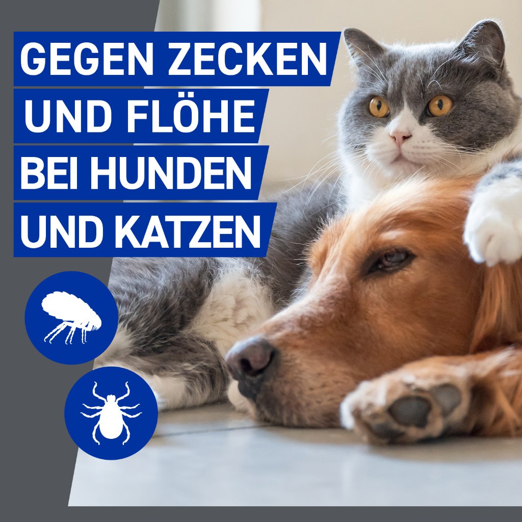 Frontline Spray für Hunde und Katzen ab 1. Lebenstag 100 ml