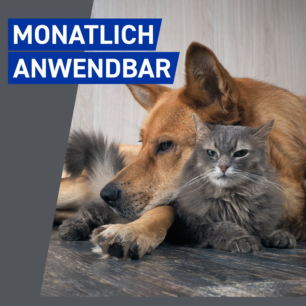 Frontline Spray für Hunde und Katzen ab 1. Lebenstag 100 ml