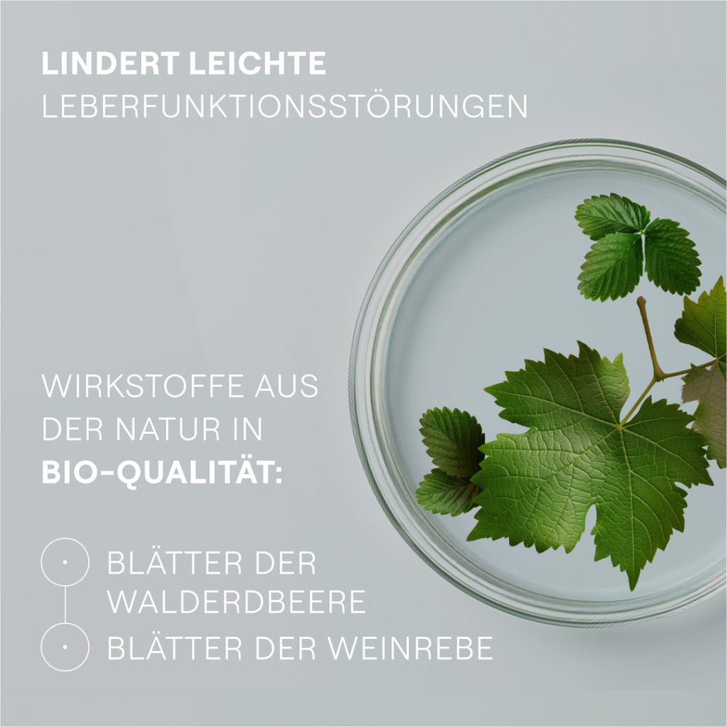 Hepatodoron®