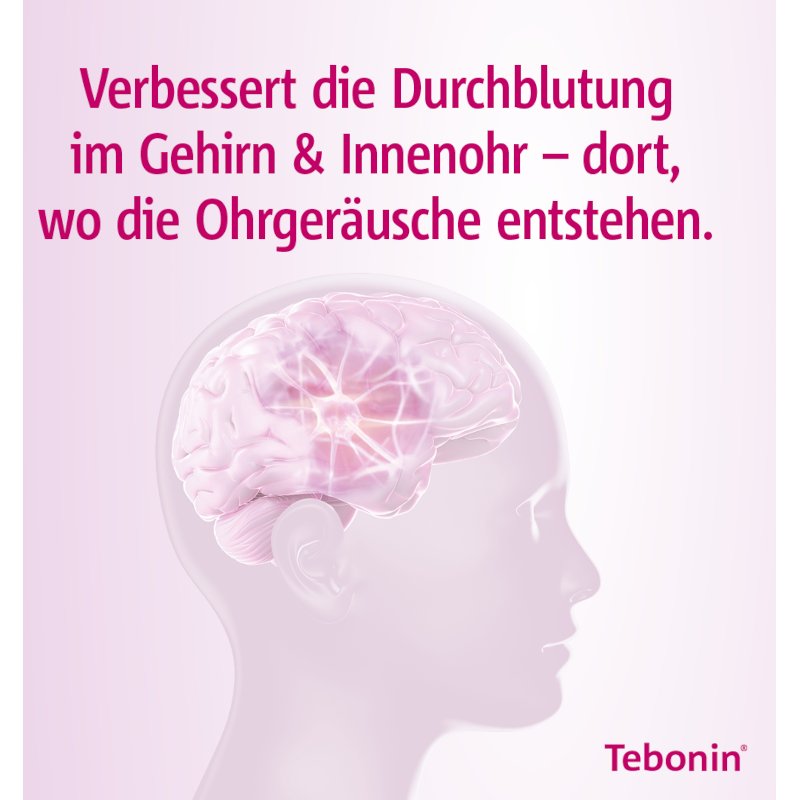 Tebonin® intens 120 mg Filmtabletten 30 Stück