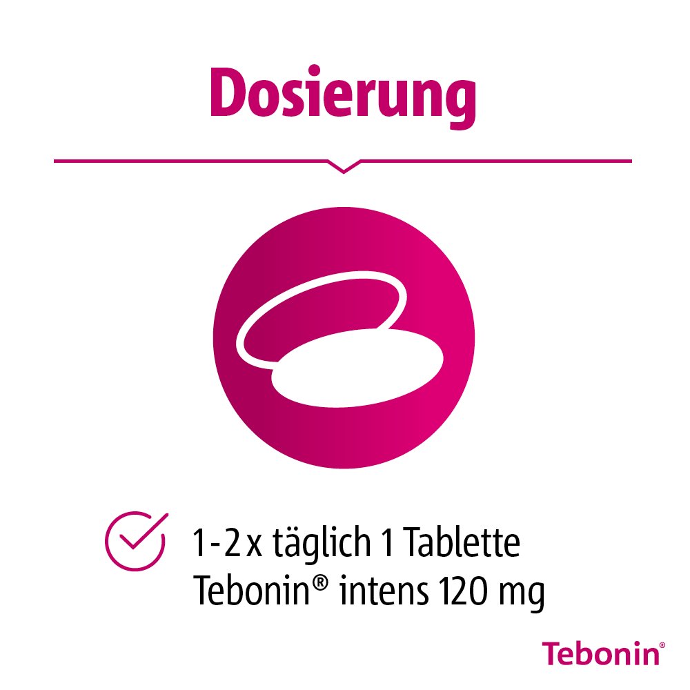 Tebonin® intens 120 mg Filmtabletten 60 Stück