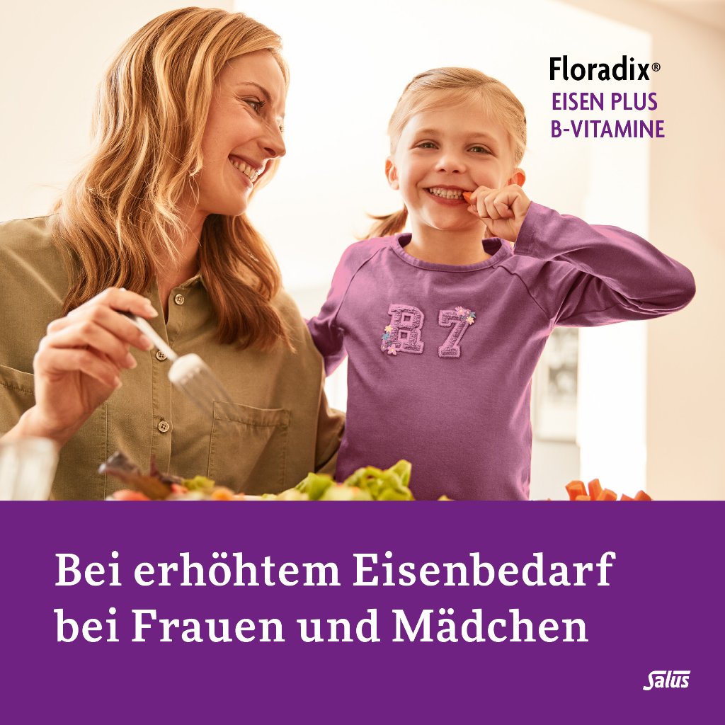 Floradix Eisen plus B-Vitamine Kapseln