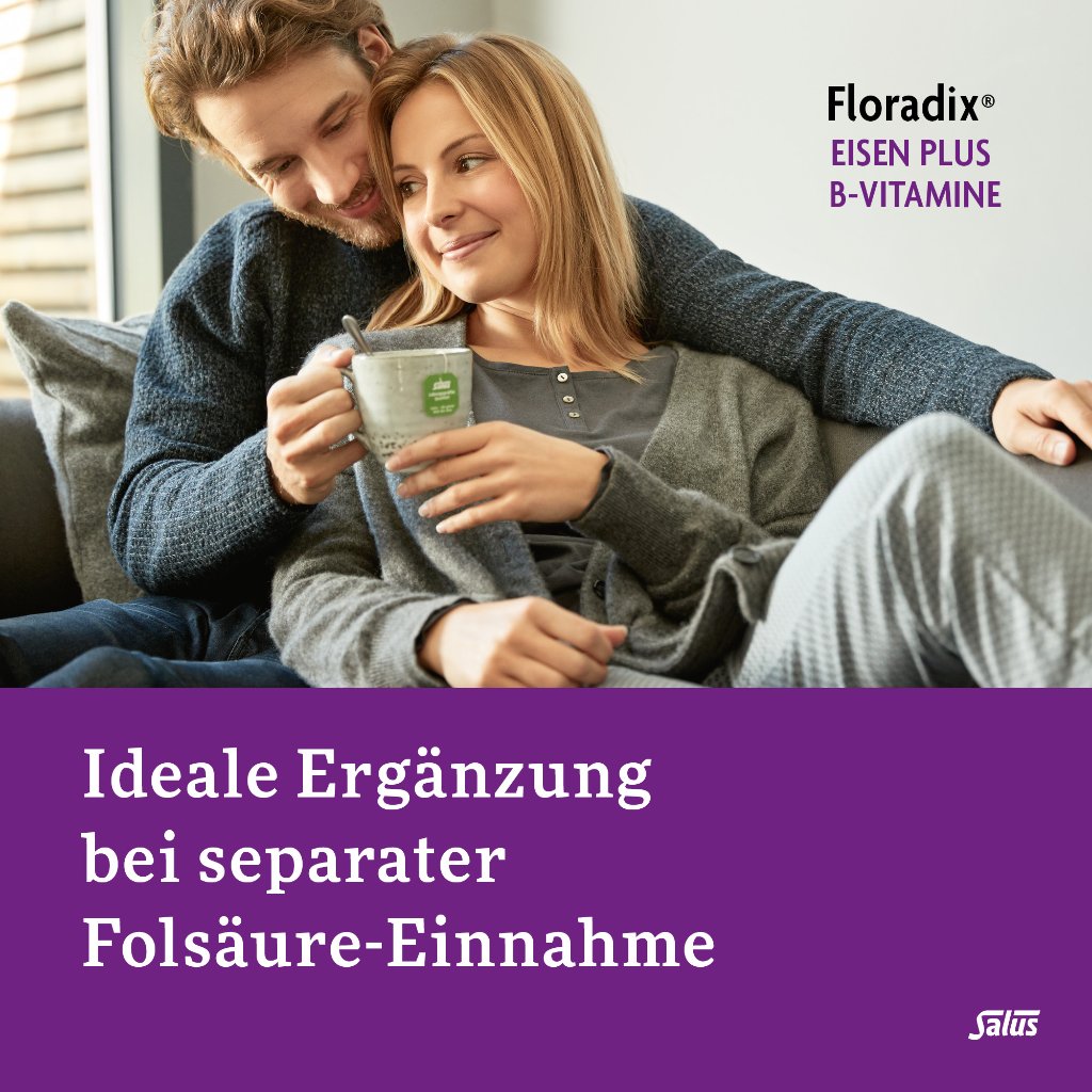 Floradix Eisen plus B-Vitamine Kapseln