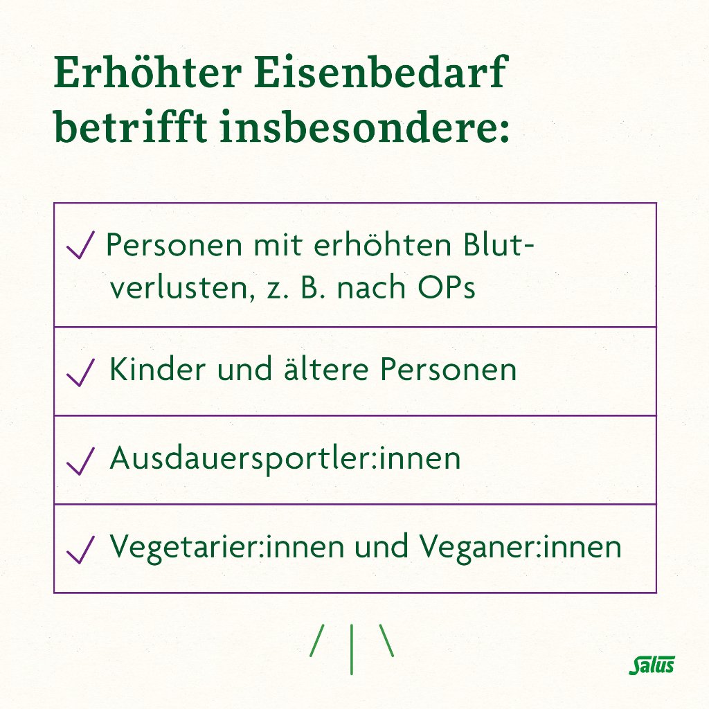 Floradix Eisen plus B-Vitamine Kapseln
