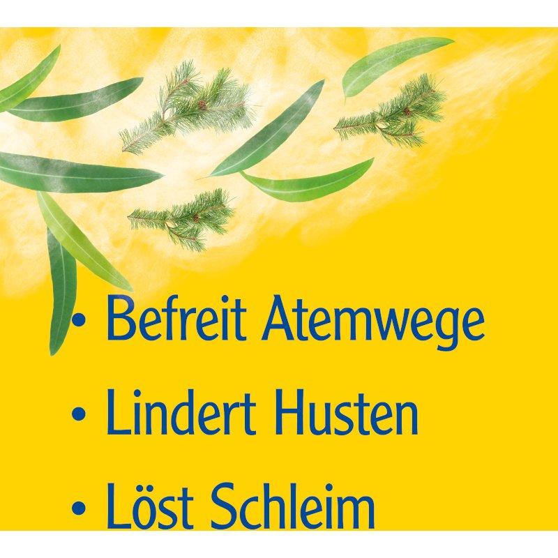 Pinimenthol® Erkältungsbalsam mild 50 g