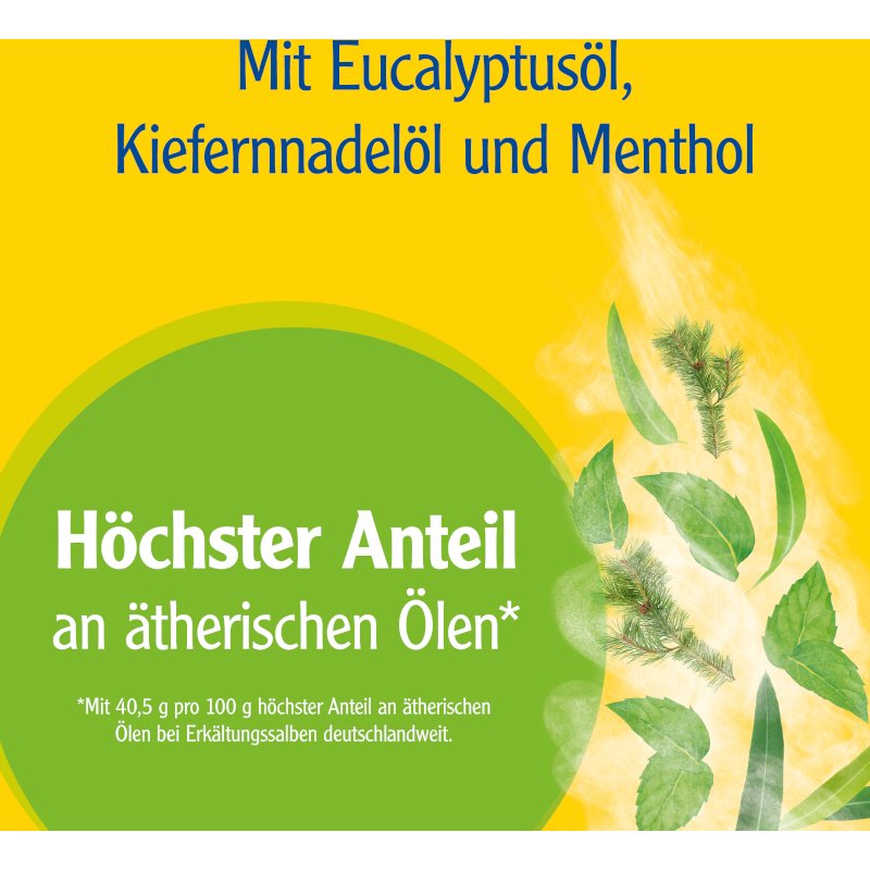 Pinimenthol® Erkältungssalbe Eukalyptus Kiefernnadel Menthol 50 g