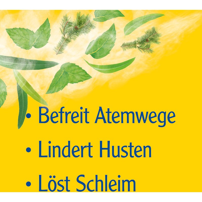 Pinimenthol® Erkältungssalbe Eukalyptus Kiefernnadel Menthol 50 g