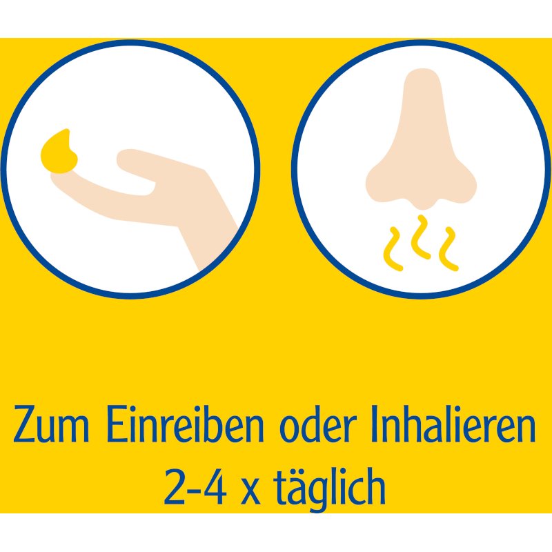 Pinimenthol® Erkältungssalbe Eukalyptus Kiefernnadel Menthol 50 g