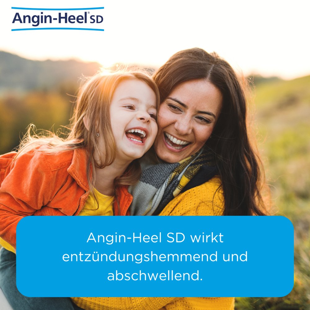 Angin-Heel® SD Zur Behandlung von Erkältungen mit Halsschmerzen und Mandelentzündungen 250 Stk