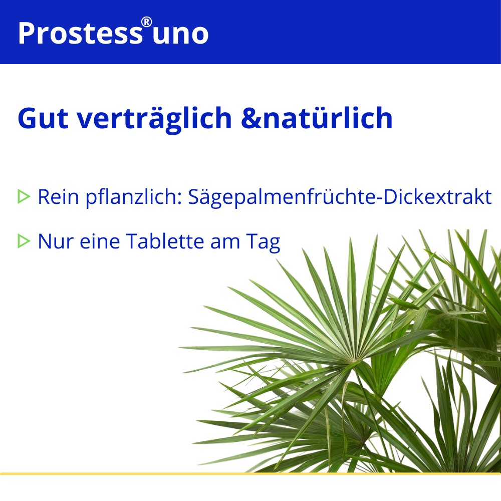 PROSTESS uno Weichkapseln