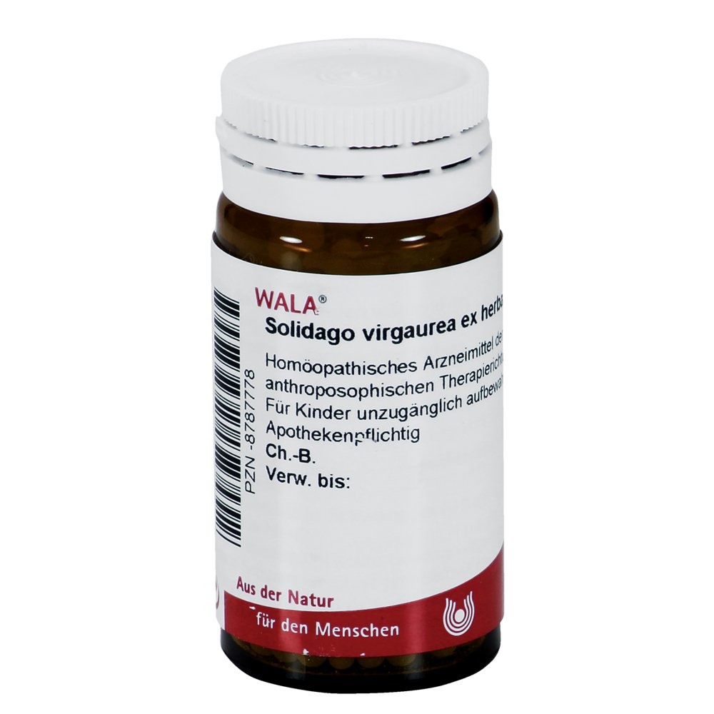 SOLIDAGO VIRGAUREA ex herba D 6 Globuli