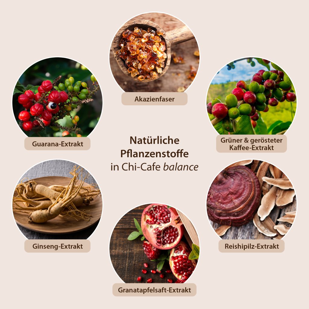 Chi-Cafe balance Wellness Genießer Kaffee mit Mineralstoffen