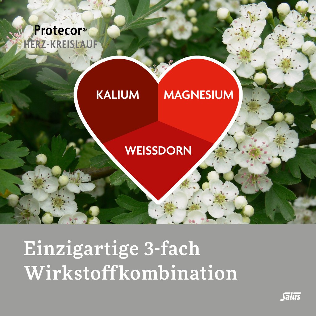 Protecor Herz-Kreislauf Tabletten zur Funktionsunterstützung Salus