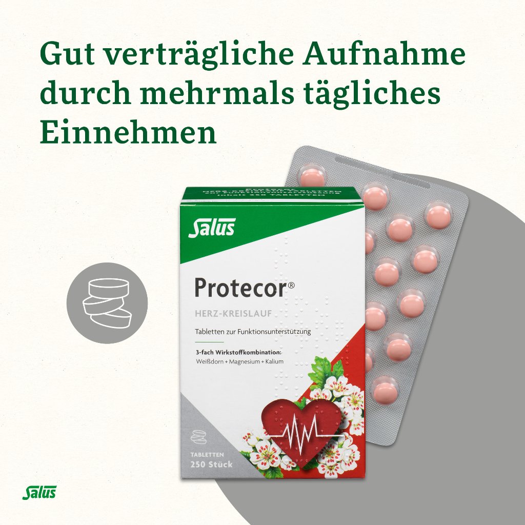 Protecor Herz-Kreislauf Tabletten zur Funktionsunterstützung Salus