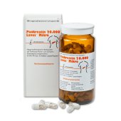 Pankreatin 20.000 Laves® Mikro