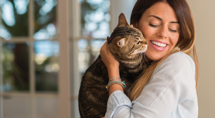 Anzeige: AMFLEE® combo, Wirkt gegen Zecken, Haarlinge, Flöhe & deren Eier Für Hund und Katze Lösung zum Auftropfen  anwenderfreundliche Pipette