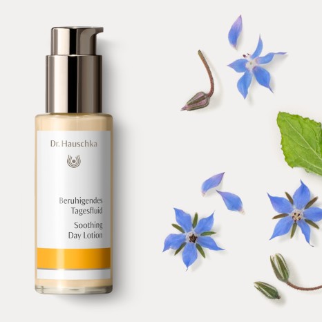 Rosen Apotheke