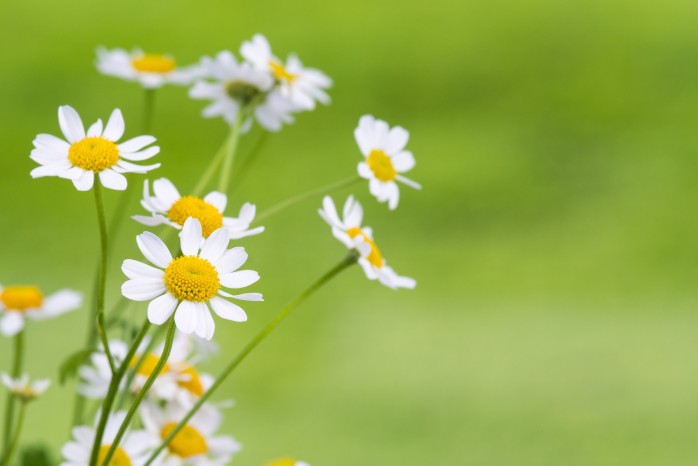 Apotheke am Billstedter Platz
