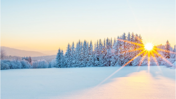 Anzeige: 25% auf das Produktbundle von Hevert mit Sinusitis, Mato und Pulmo.